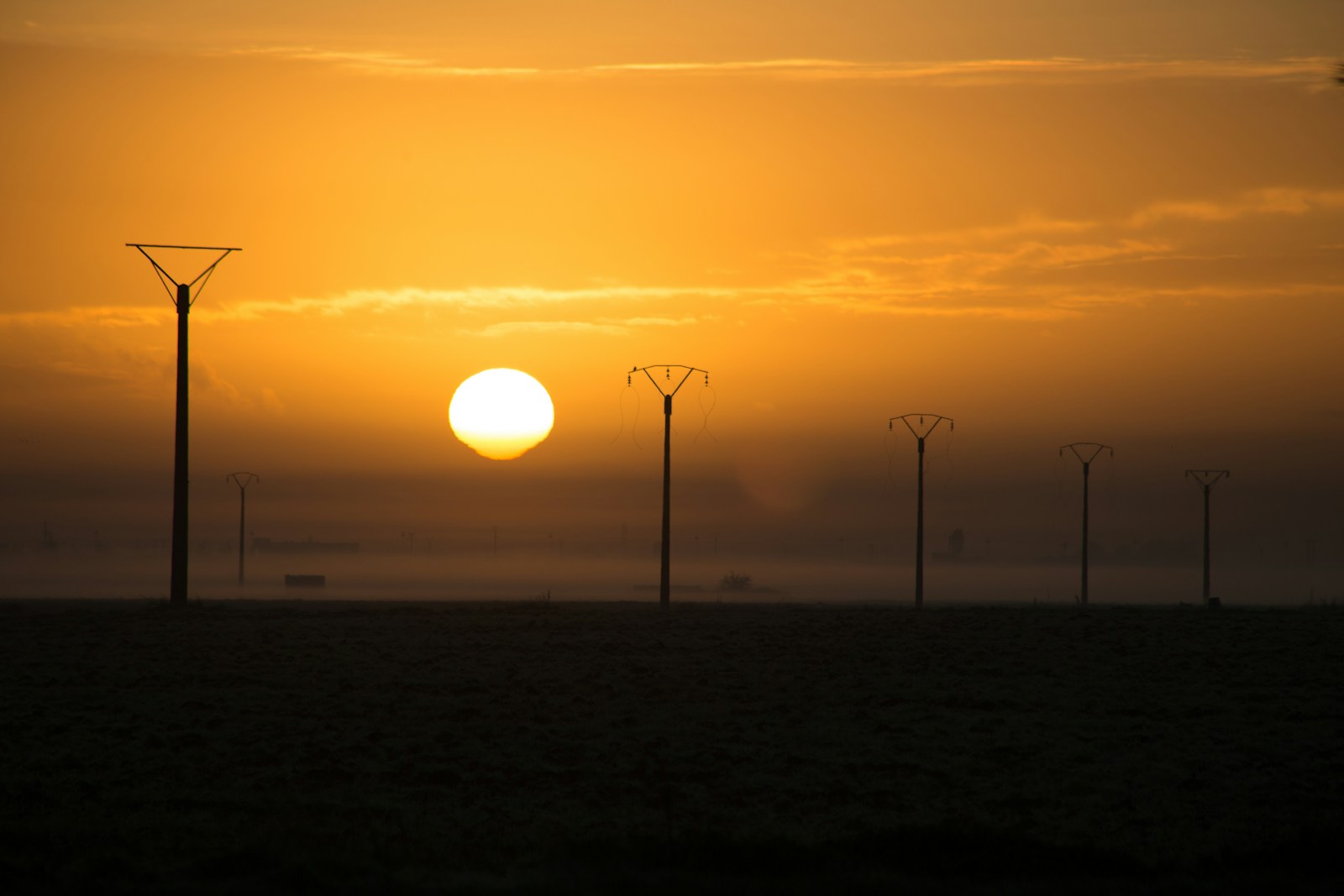 silhouette photo of posts